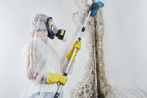 Best Commercial water damage restoration  in Swede Heaven, WA